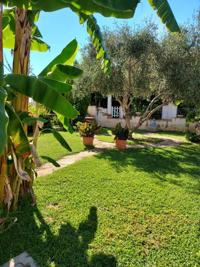 Agriturismo Pinturicchio Capo Vaticano Esterno foto